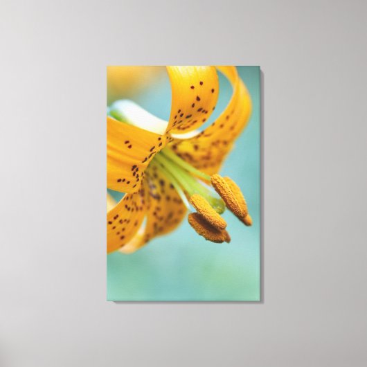 Toile Fermer une Lys jaune (Recto)