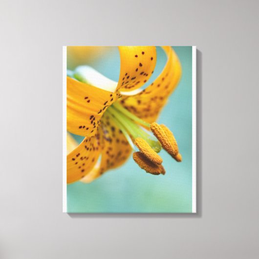 Toile Fermer une Lys jaune (Recto)