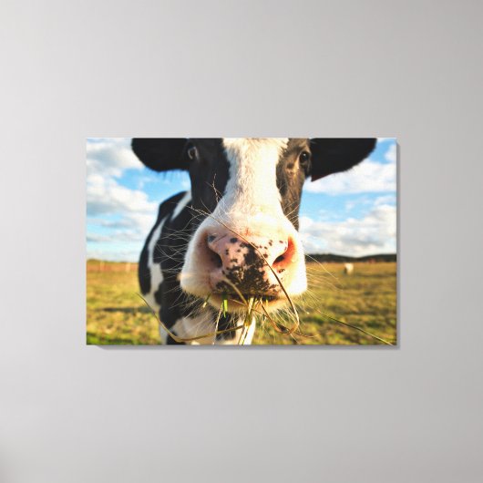 Toile Fermes | Vache Holstein Chewing (Recto)