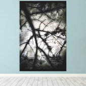 Toile Fermeture (Insitu (Plancher de Bois))