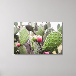 Toile Fermeture Des Cactus De Pires