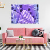 Toile Fermeture des fruits de Diatom (Mlychenensis) (Insitu(Salon))