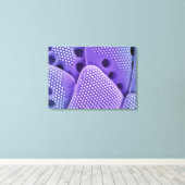 Toile Fermeture des fruits de Diatom (Mlychenensis) (Insitu (Plancher de Bois))