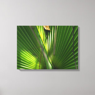 Toile Fermeture photo de la scie Palmetto