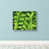 Toile Fern (Insitu (Plancher de Bois))