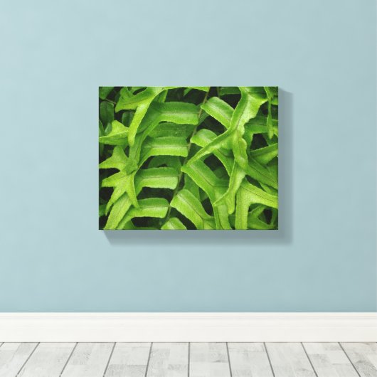 Toile Fern (Insitu (Plancher de Bois))