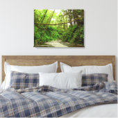 Toile Fern Canyon I au Redwood National Park (Insitu(Chambre))