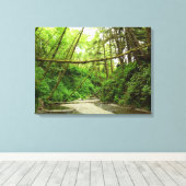 Toile Fern Canyon I au Redwood National Park (Insitu (Plancher de Bois))