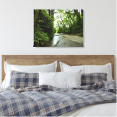 Toile Fern Canyon II au parc national Redwood (Insitu(Chambre))