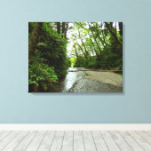Toile Fern Canyon II au parc national Redwood (Insitu (Plancher de Bois))