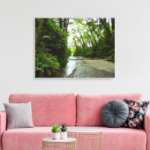 Toile Fern Canyon II au parc national Redwood (Insitu(Salon))