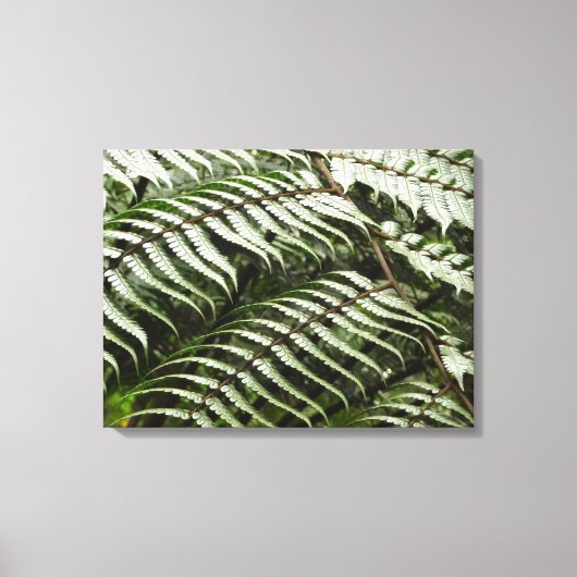 Toile Fern Fronds II Dark Green Nature (Recto)
