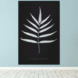 Toile Ferne - Polypodyum Grandidens - Effet de rayons X 