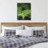 Toile Ferns (Insitu(Chambre))