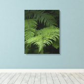 Toile Ferns (Insitu (Plancher de Bois))