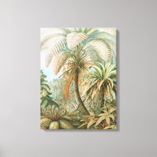 Toile Ferns, Filicinae Laubfarne par Ernst Haeckel