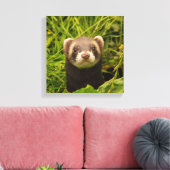 Toile Ferret Brown mignon dans l'herbe photo (Insitu(Salon))