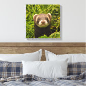 Toile Ferret Brown mignon dans l'herbe photo (Insitu(Chambre))