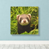 Toile Ferret Brown mignon dans l'herbe photo (Insitu (Plancher de Bois))