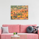 Toile Feuillage d'automne | Péninsule de Keweenaw, Michi (Insitu(Salon))