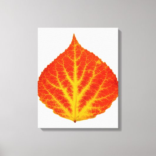 Toile Feuille d'Aspen rouge et jaune #10 (Recto)