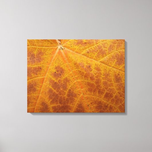 Toile Feuille de Érable Jaune Automne Abstrait Nature (Recto)