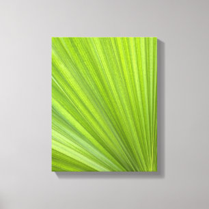Toile Feuille de palmier vert tropical