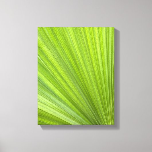 Toile Feuille de palmier vert tropical (Recto)