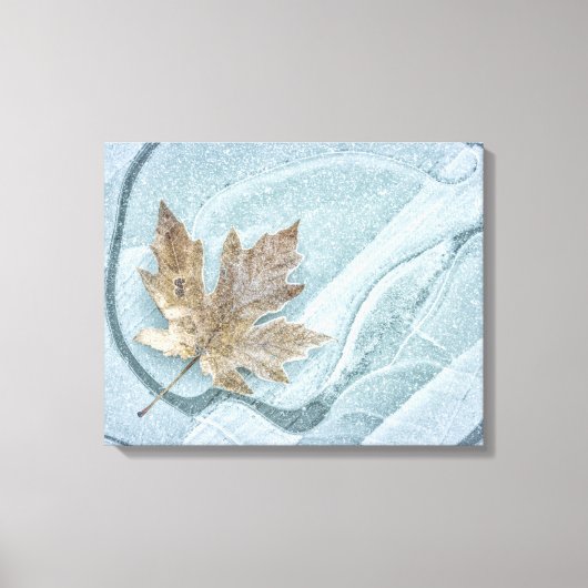 Toile Feuille d'érable gelée sur de la glace (Recto)
