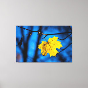 Toile Feuille d'érable jaune en bleu