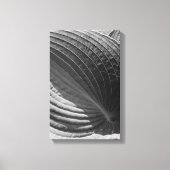 Toile Feuille Hosta noir et blanc (Recto)