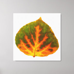 Toile Feuille vert orange et jaune d'Aspen #1