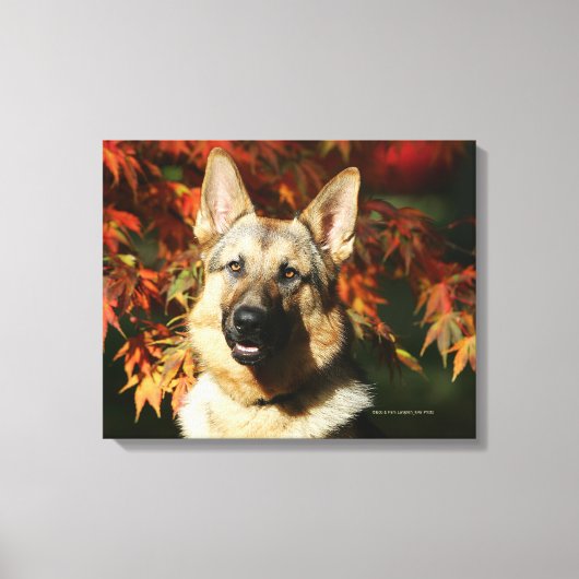 Toile Feuilles d'automne du berger allemand (Recto)