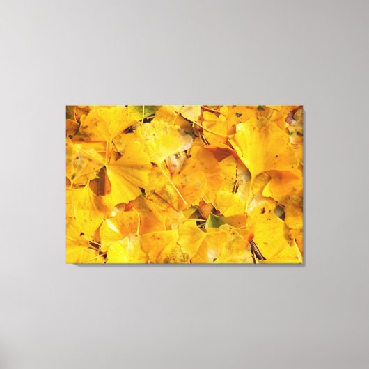 Toile Feuilles de Ginkgo Biloba (Recto)