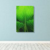 Toile Feuilles de Hosta Vertes (Insitu (Plancher de Bois))