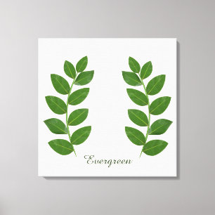 Toile Feuilles de laurier vert modernes