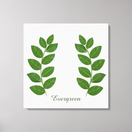 Toile Feuilles de laurier vert modernes (Recto)