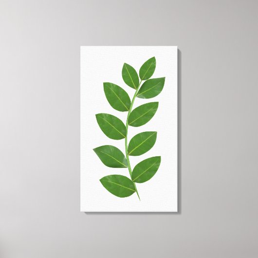 Toile Feuilles de laurier vert modernes (Recto)