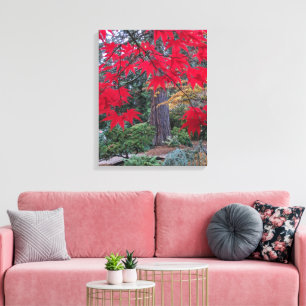 Toile Feuilles d'érable rouge dans un jardin japonais