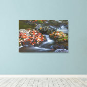 Toile Feuilles d'érable rouge tapis les rochers dans (Insitu (Plancher de Bois))