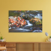 Toile Feuilles d'érable rouge tapis les rochers dans (Insitu(Salon))