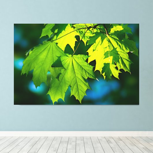 Toile Feuilles d'érable vert frais (Insitu (Plancher de Bois))
