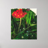 Toile Feuilles et fleurs Plantes de corail (Recto)