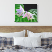Toile Feuilles et fleurs Plantes Hosta (Insitu(Chambre))