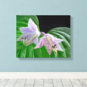 Toile Feuilles et fleurs Plantes Hosta (Insitu (Plancher de Bois))