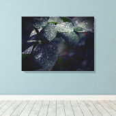 Toile Feuilles et Raindrops de Dark Green (Insitu (Plancher de Bois))