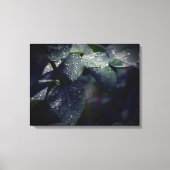 Toile Feuilles et Raindrops de Dark Green (Recto)