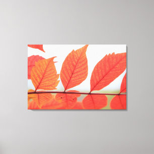 Toile Feuilles oranges d'automne