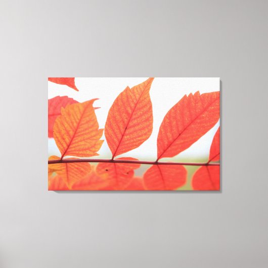 Toile Feuilles oranges d'automne (Recto)