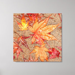 Toile Feuilles rouges dans la pluie